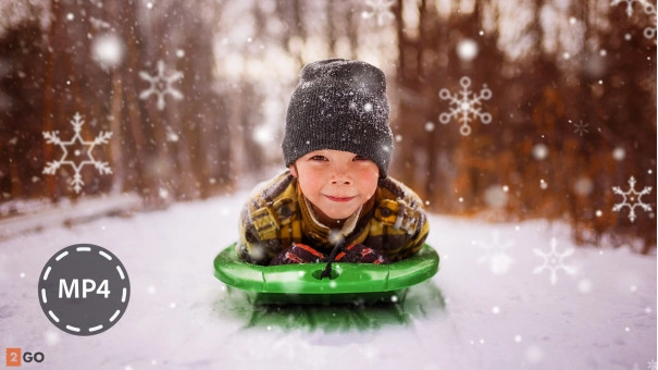 Adobe Photoshop Elements + Premiere Elements 2022 | Windows | Multilanguage | Student & Teacher edition