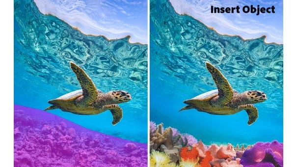 Adobe Photoshop Elements 2026