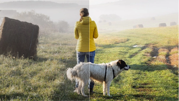 Corel PaintShop Pro 2023 Standard