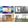 Adobe Photoshop Elements + Premiere Elements 2022 | Windows | Multilanguage | Student & Teacher edition