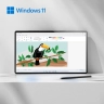 Windows 11 Home | Retail | 1 PC | One-time purchase | All languages
